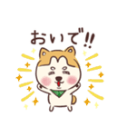 柴犬トリオ (いぬ)（個別スタンプ：30）