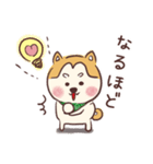 柴犬トリオ (いぬ)（個別スタンプ：35）