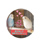 おめでたいにゃん（個別スタンプ：2）
