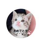 おめでたいにゃん（個別スタンプ：8）