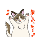 たくさんの猫たちのスタンプ♪よく使う言葉（個別スタンプ：3）