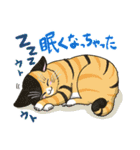 たくさんの猫たちのスタンプ♪よく使う言葉（個別スタンプ：7）