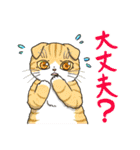 たくさんの猫たちのスタンプ♪よく使う言葉（個別スタンプ：15）