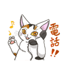 たくさんの猫たちのスタンプ♪よく使う言葉（個別スタンプ：17）