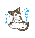 たくさんの猫たちのスタンプ♪よく使う言葉（個別スタンプ：18）