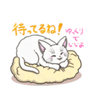 たくさんの猫たちのスタンプ♪よく使う言葉（個別スタンプ：20）