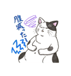 たくさんの猫たちのスタンプ♪よく使う言葉（個別スタンプ：25）