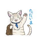 たくさんの猫たちのスタンプ♪よく使う言葉（個別スタンプ：31）