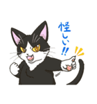 たくさんの猫たちのスタンプ♪よく使う言葉（個別スタンプ：40）