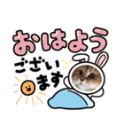 7にゃん2わん仲良し兄妹（個別スタンプ：12）
