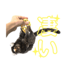 【7】コモンマーモセットのキーくん（個別スタンプ：9）
