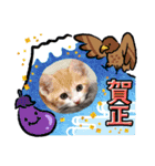 クロとチャーのスタンプ（個別スタンプ：16）