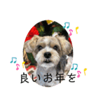 我が家の季節のあいさつ（個別スタンプ：3）