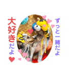 我が家の季節のあいさつ（個別スタンプ：6）