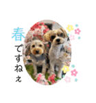 我が家の季節のあいさつ（個別スタンプ：8）