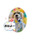 我が家の季節のあいさつ（個別スタンプ：10）