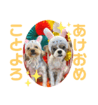 我が家の季節のあいさつ（個別スタンプ：24）