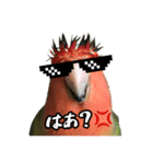 インコのセセリ♂11（個別スタンプ：1）