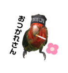 インコのセセリ♂11（個別スタンプ：10）