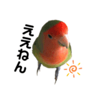 インコのセセリ♂11（個別スタンプ：17）