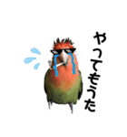インコのセセリ♂11（個別スタンプ：19）