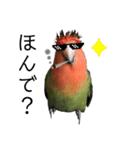 インコのセセリ♂11（個別スタンプ：21）