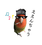 インコのセセリ♂11（個別スタンプ：23）