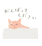 24色の猫（個別スタンプ：5）