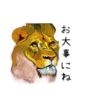 油絵のライオンのスタンプ（個別スタンプ：5）