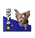みんなの胡桃さんスタンプ（個別スタンプ：1）