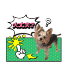 みんなの胡桃さんスタンプ（個別スタンプ：4）