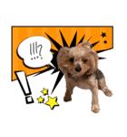 みんなの胡桃さんスタンプ（個別スタンプ：9）