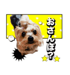 みんなの胡桃さんスタンプ（個別スタンプ：12）