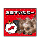 みんなの胡桃さんスタンプ（個別スタンプ：14）