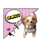 みんなの胡桃さんスタンプ（個別スタンプ：15）