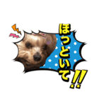 みんなの胡桃さんスタンプ（個別スタンプ：16）
