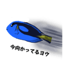 日常で使えるゆるいお魚スタンプ（個別スタンプ：1）