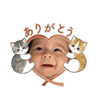 プリティーメッセージ（個別スタンプ：13）