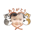 プリティーメッセージ（個別スタンプ：16）