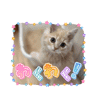 カノアとルアナ（個別スタンプ：1）