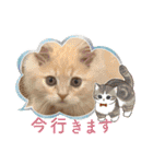 カノアとルアナ（個別スタンプ：2）