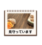 カノアとルアナ（個別スタンプ：4）