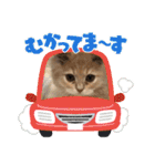 カノアとルアナ（個別スタンプ：9）