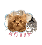 カノアとルアナ（個別スタンプ：14）