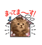 カノアとルアナ（個別スタンプ：19）