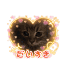 カノアとルアナ（個別スタンプ：21）
