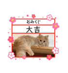 カノアとルアナ（個別スタンプ：24）
