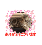 カノアとルアナ（個別スタンプ：25）