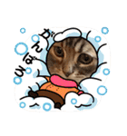 カノアとルアナ（個別スタンプ：27）