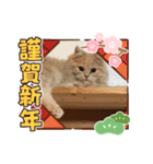 カノアとルアナ（個別スタンプ：28）